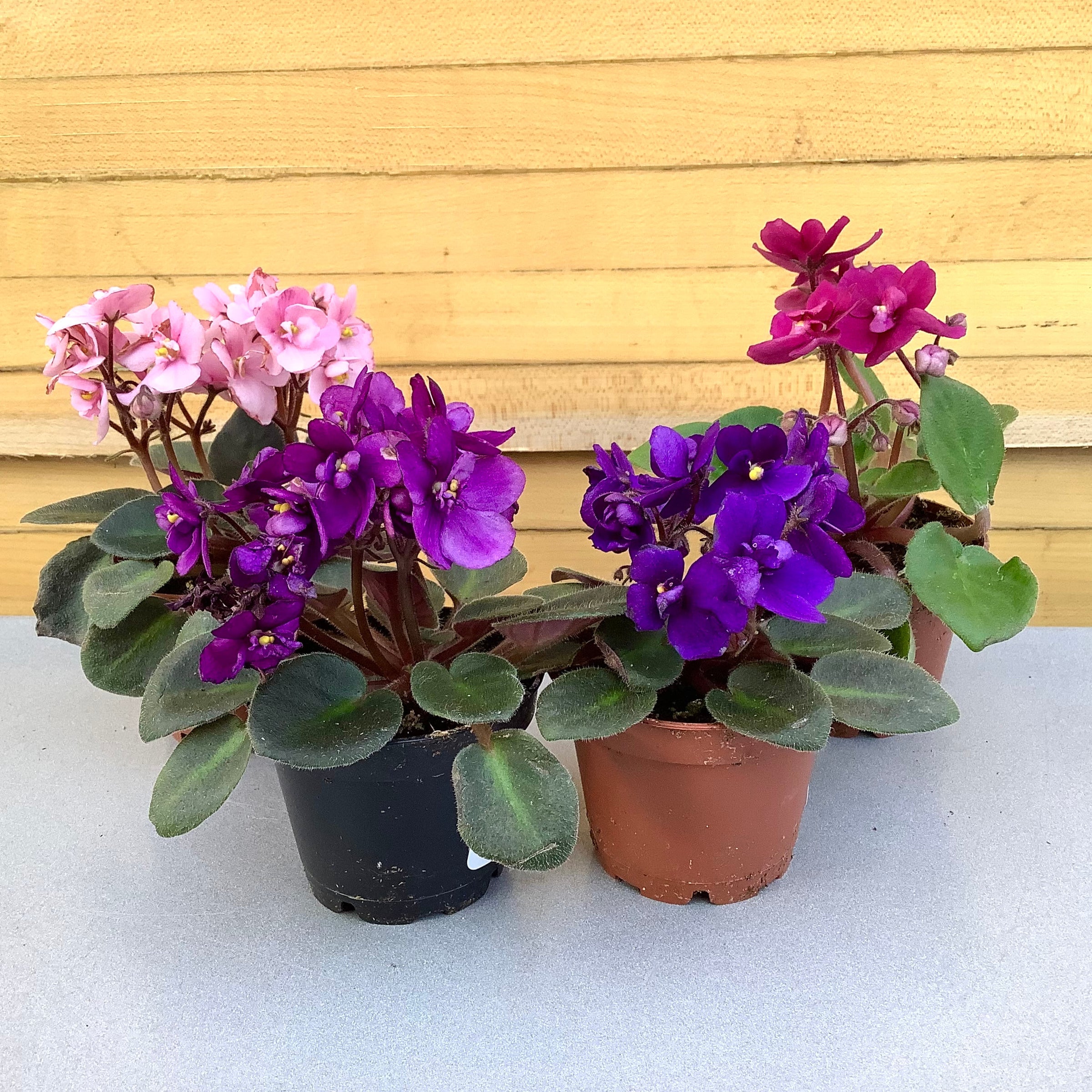 outdoor plants plastic Outsunny 28" Tall Outdoor Planters, Set Of 3 Large Taper Planters With
